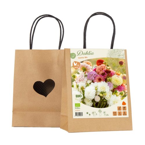 Bio Dahlia Gift Bag Variety Mix of 2