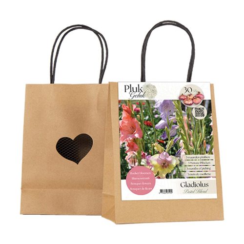 PLUKGELUK | Gladiolus Pastel Blend Mix of 30