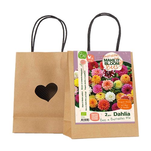 Make it Bloom – Dahlea Anemone Mix pack of 2