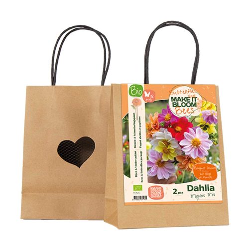 Make it Bloom – Dahlia Mignon Mix pack of 2