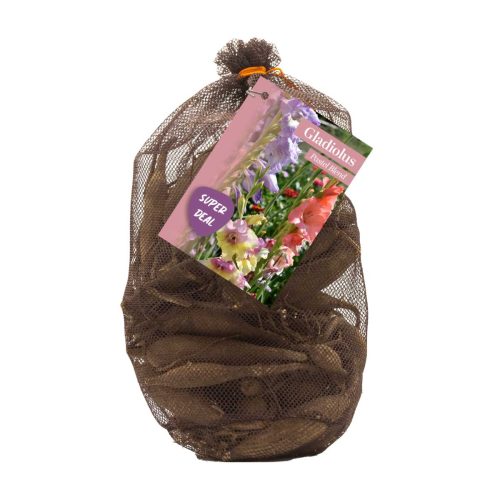 Netlon - Gladiolus Pastel Blend Mix pack of 40
