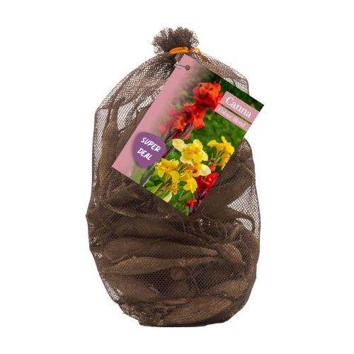 Netlon - Canna Colour Blend Mix pack of 5