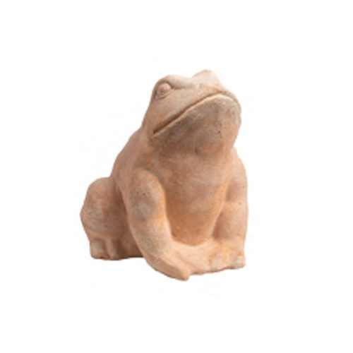 Sitting Frog