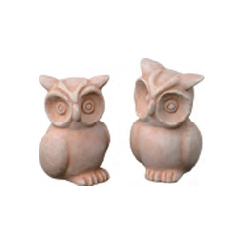 Baby Owls Set