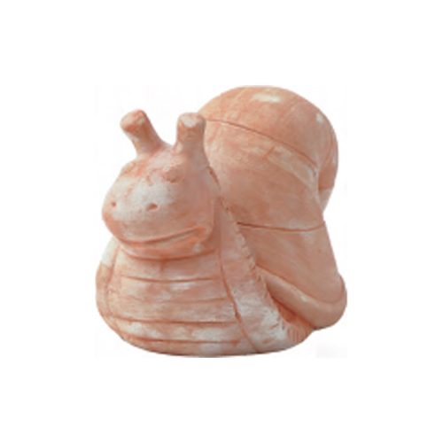 Tuscan Snail Doroty