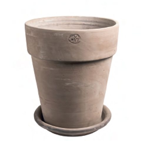 Pietrantiqua Tuscan Tall Pot With Saucer