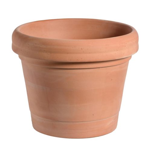 Tuscan Export Perfecto