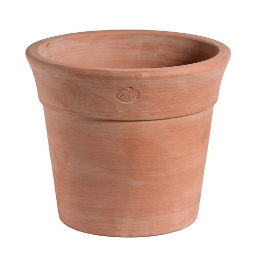 Magnificent Gambelli