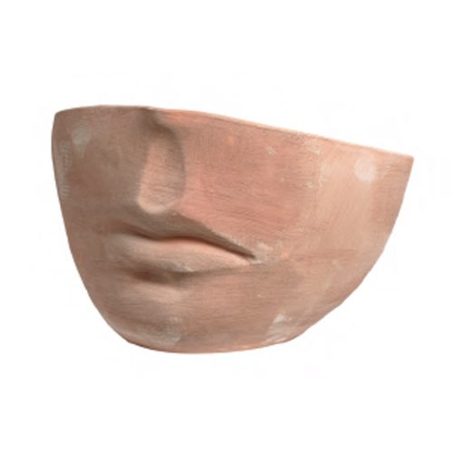 Face Pot
