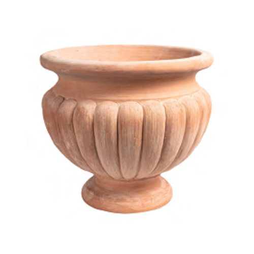 Napulé Cup - Fix Foot