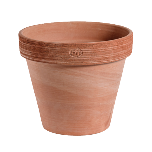 Classic Pots and Vases