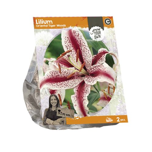 Lilium Oriental 'Tiger Woods' — pack of 2