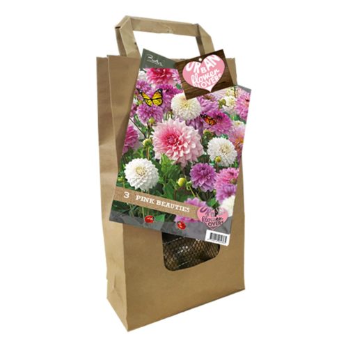 Urban Flower Lovers - Pink Beauties pack of 3