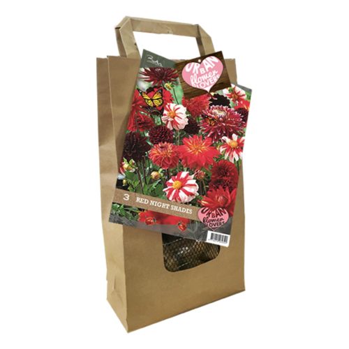 Urban Flower Lovers - Red Night Shades pack of 3