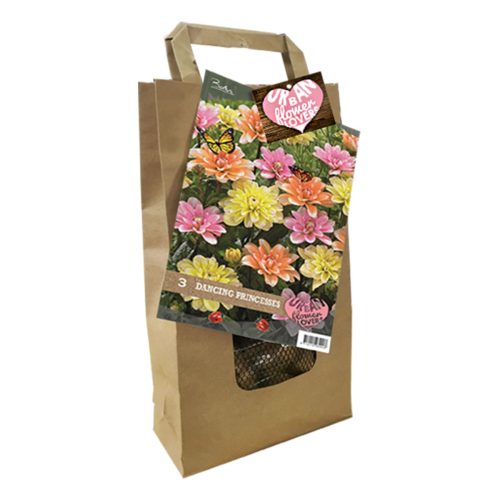 Urban Flower Lovers - Dancing Princesses pack of 3