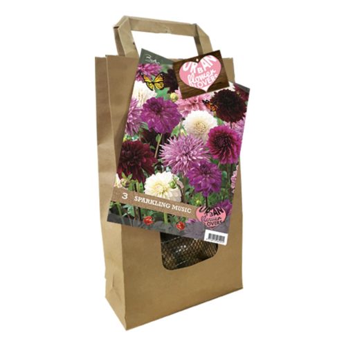 Urban Flower Lovers - Sparkling Music pack of 3