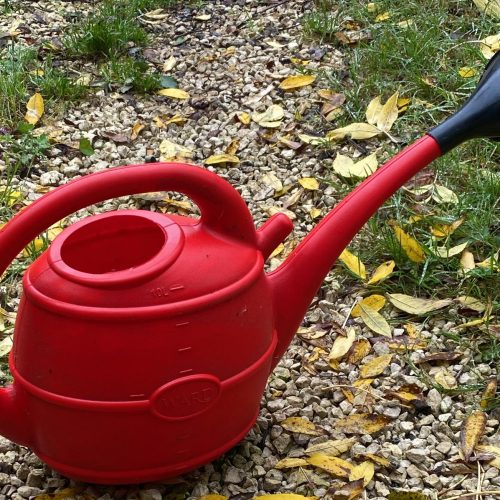 10L Watering Can